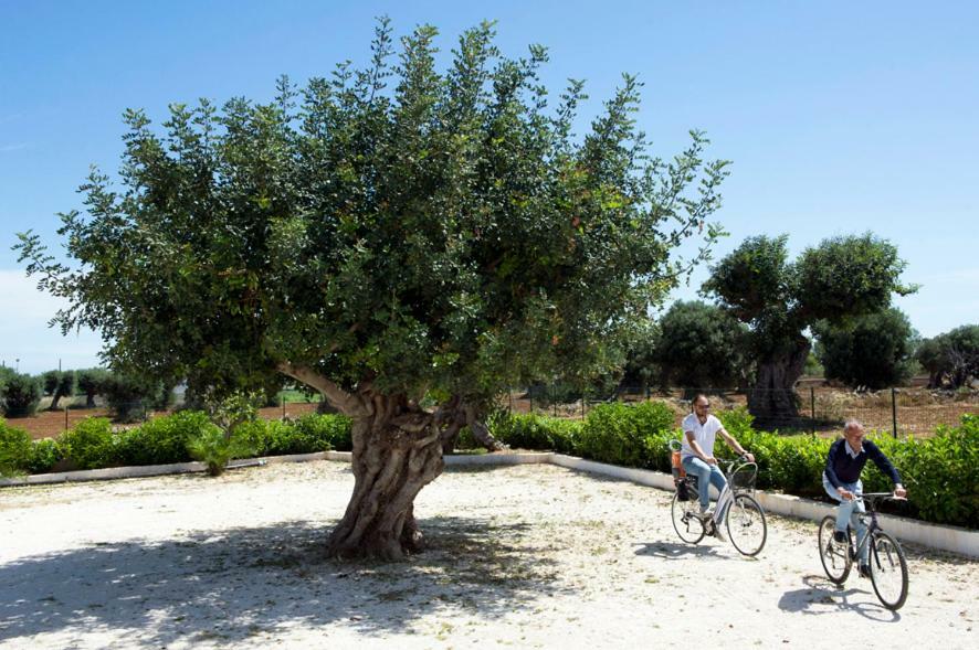 Case Per Vacanze Torre Incina Polignano a Mare Εξωτερικό φωτογραφία